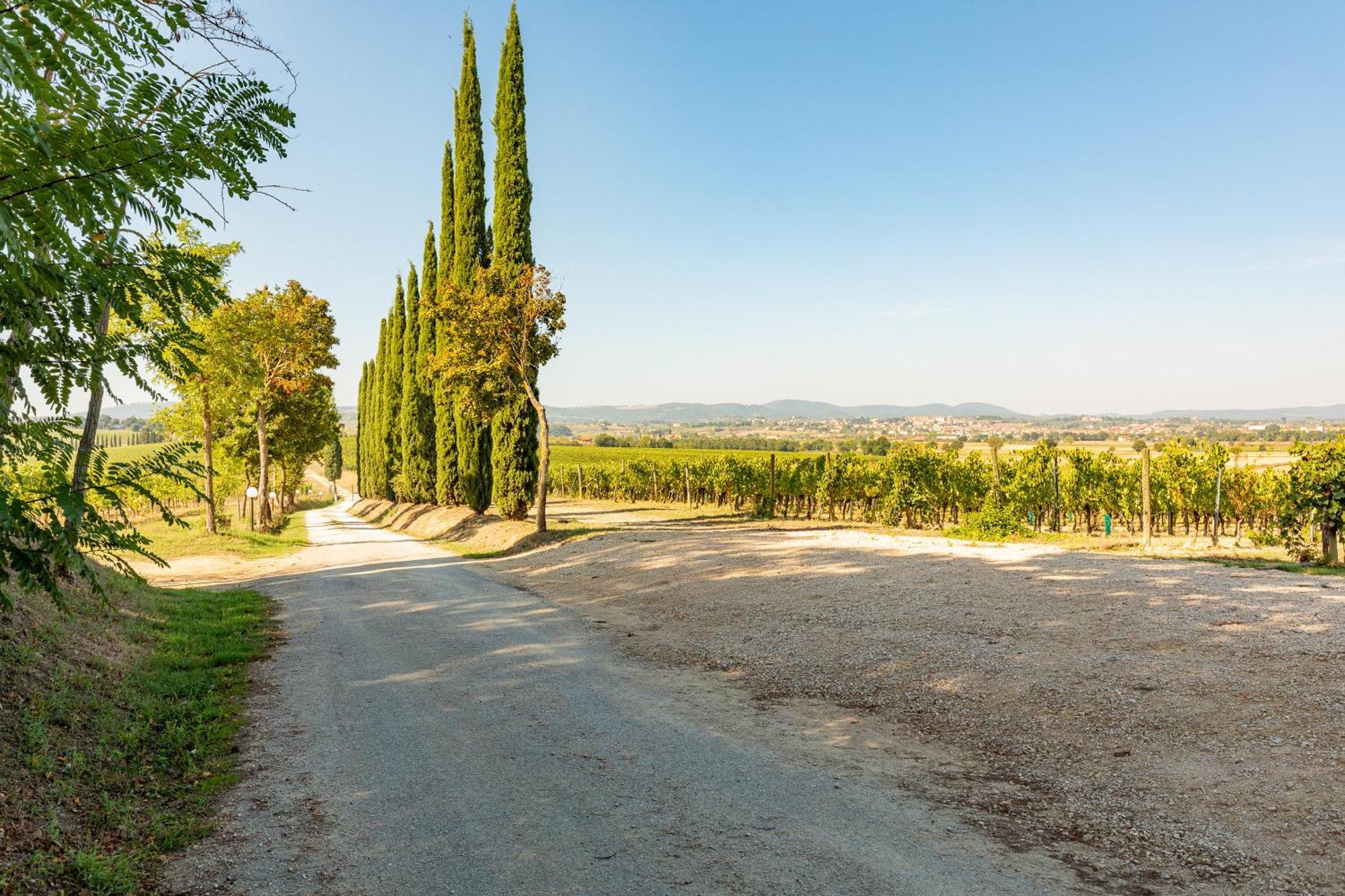 Montepulciano Stazione Appartamento Greppino מראה חיצוני תמונה